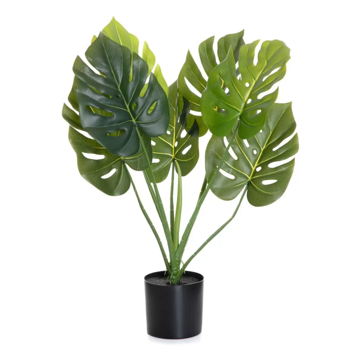 HOMLA Roslina Sztuczna Tropical Zone Monstera W Czarnej Donicy 75 Cm